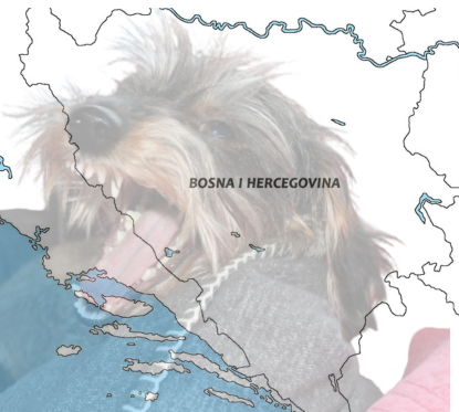 perro ladrador en Bosnia